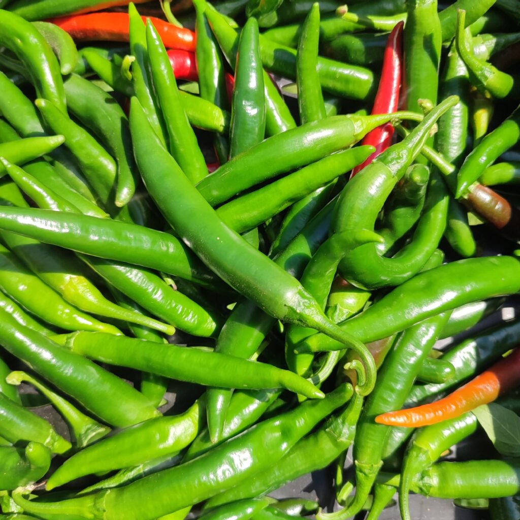 Bio Peperoni