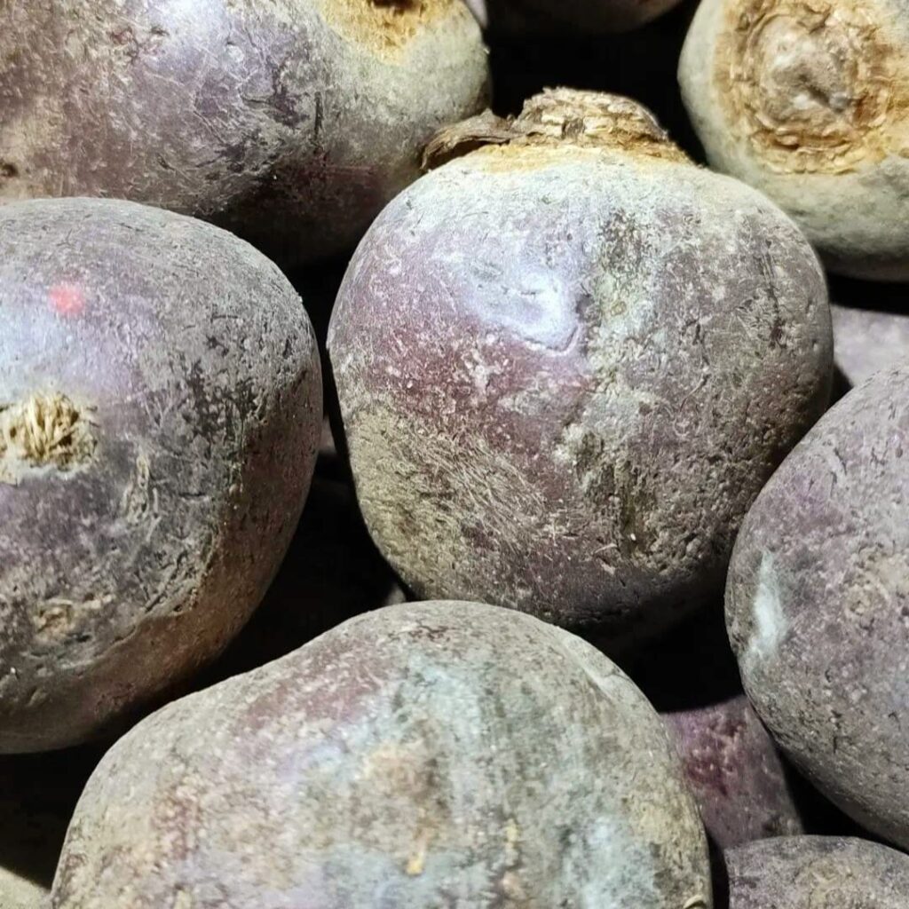 Bio Rote Bete 500g