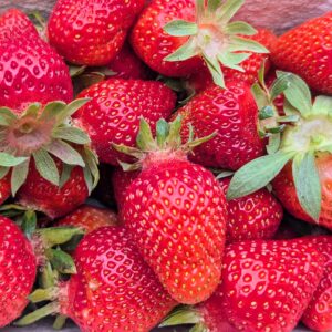 Bio Erdbeeren 500g